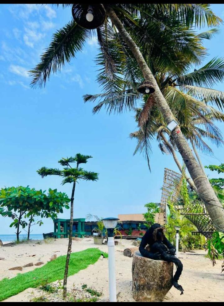 Alivious Beach Homestay Alappuzha Экстерьер фото
